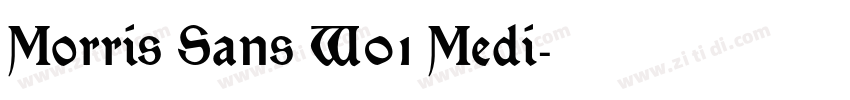 Morris Sans W01 Medi字体转换